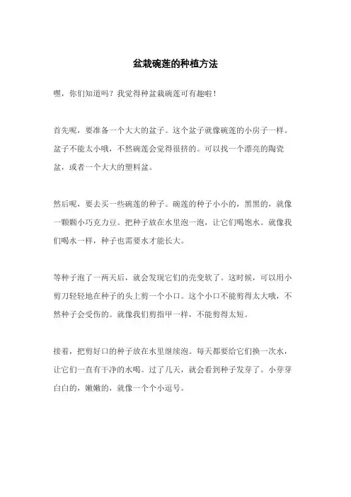 盆栽碗莲的种植方法