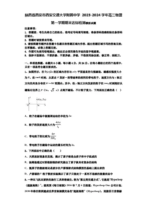 陕西省西安市西安交通大学附属中学 2023-2024学年高三物理第一学期期末达标检测模拟试题含解析