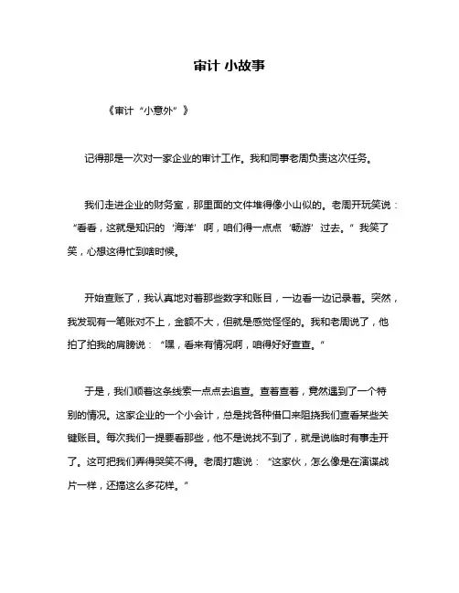 审计 小故事