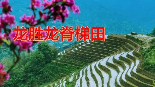 龙胜龙脊梯田值得一去