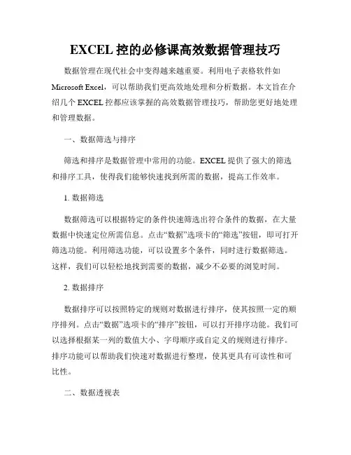 EXCEL控的必修课高效数据管理技巧
