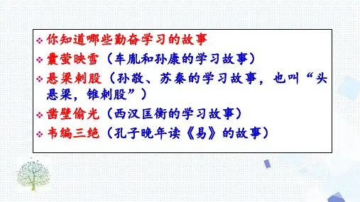 第11课《送东阳马生序》课件(22张PPT) 2021-2022学年部编版语文九年级下册