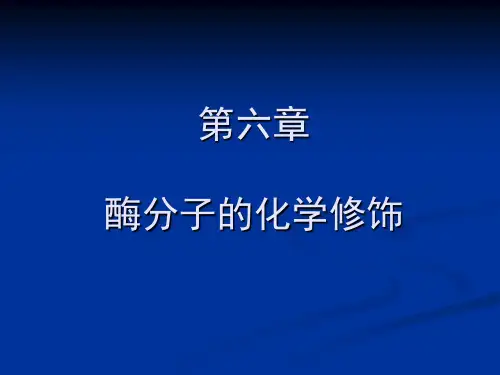 第六章  酶分子化学修饰