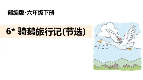 骑鹅旅行记赏析PPT课文课件.pptx