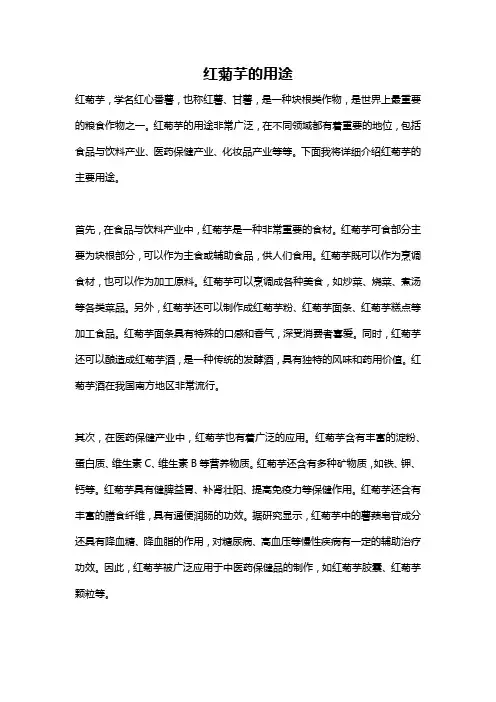 红菊芋的用途