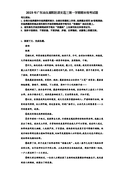 2023年广东汕头潮阳区语文高三第一学期期末统考试题含解析