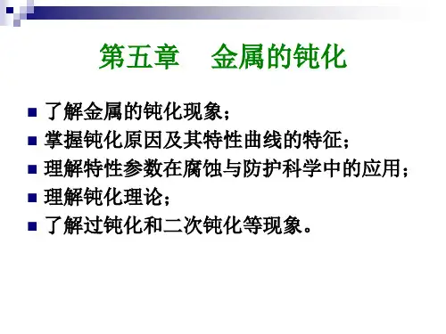 第五章 金属的钝化