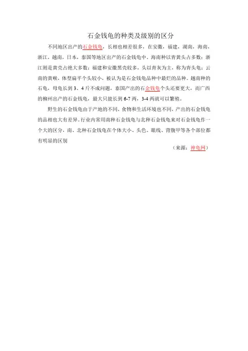 石金钱龟的种类及级别的区分