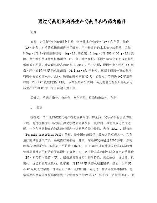 愈伤组织培养生产芍药双苷