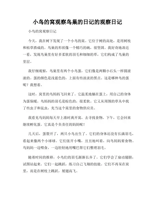 小学三年级作文小鸟的窝观察鸟巢的日记的观察日记
