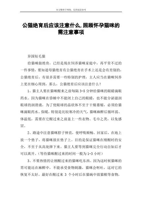 公猫绝育后应该注意什么,照顾怀孕猫咪的需注意事项