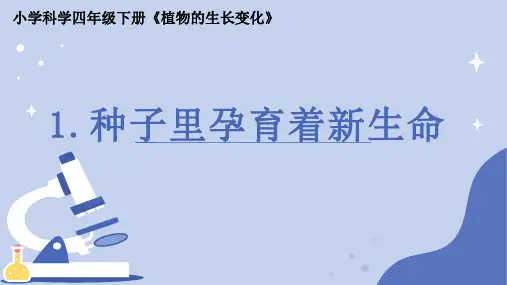 《种子里孕育着新生命》小学科学四年级下册PPT课件
