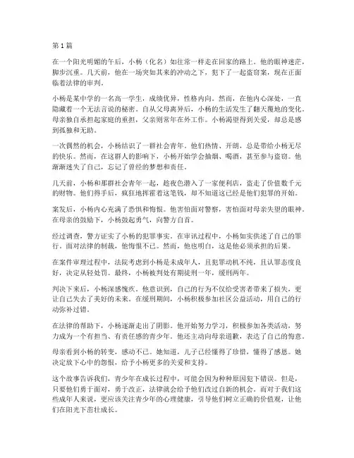 青少年法律案例小故事(3篇)