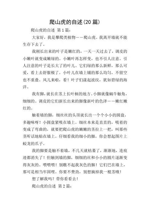 爬山虎的自述(20篇)
