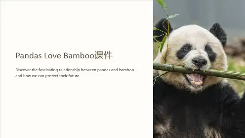 Pandas love bamboo课件