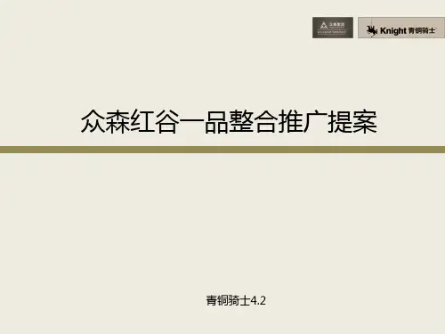 青铜骑士南昌众森红谷一品整合推广提案
