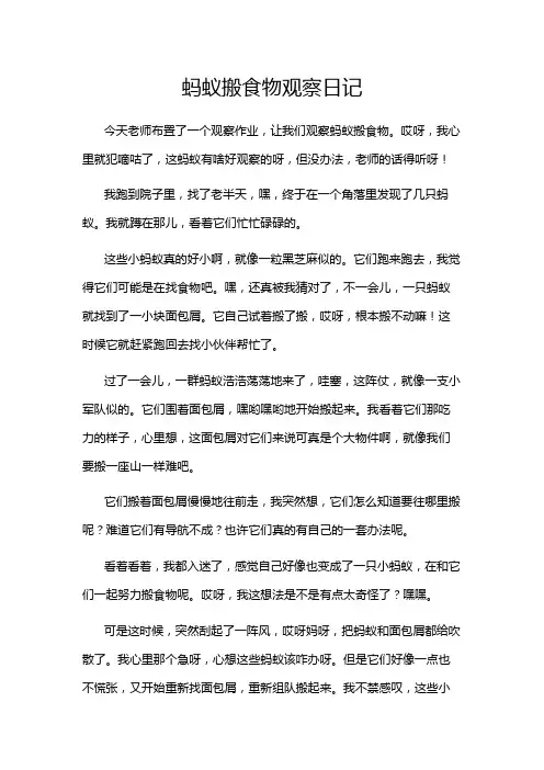 蚂蚁搬食物观察日记