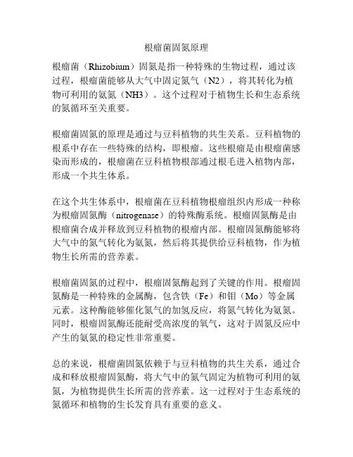 根瘤菌固氮原理