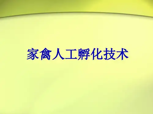 家禽人工孵化技术课件