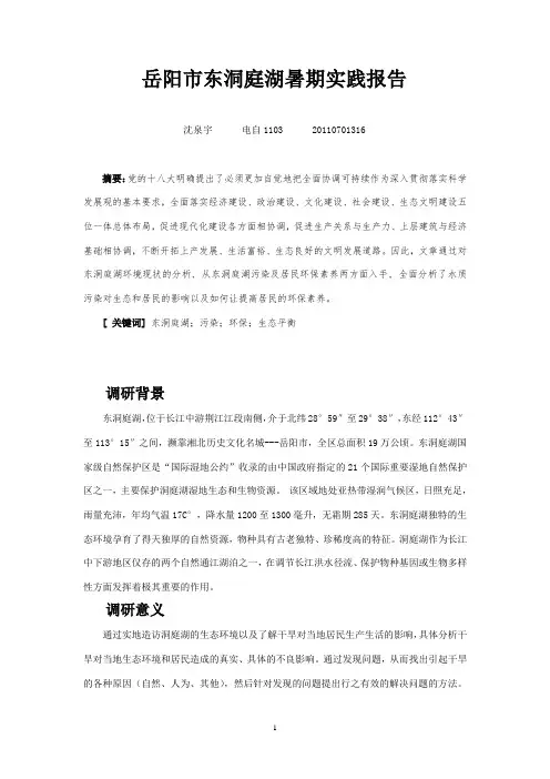 岳阳市东洞庭湖暑期实践报告