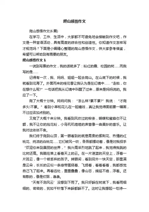 爬山感悟作文（6篇）