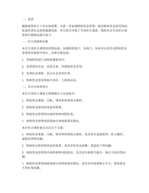 专项审计调查开展情况报告