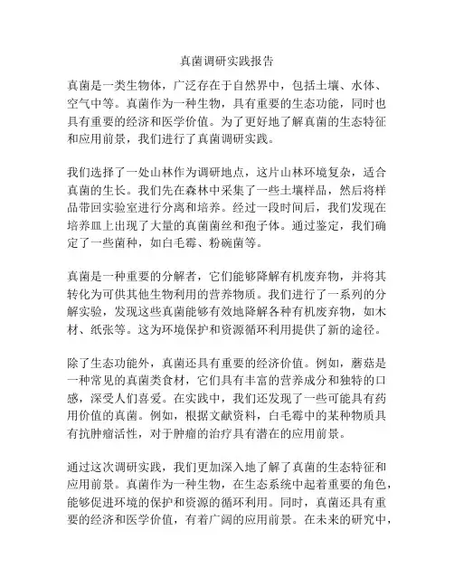 真菌调研实践报告