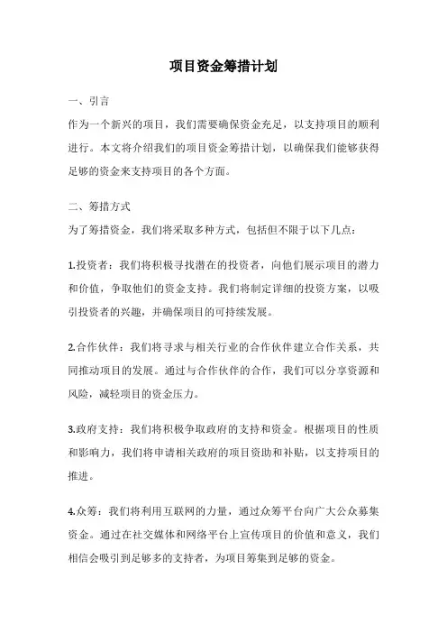项目资金筹措计划