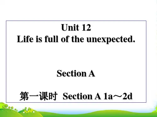 人教版九年级英语课件：Unit12(共49张PPT)
