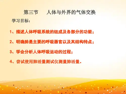 人体与外界环境的气体交换ppt课件