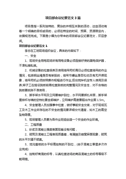 项目部会议纪要范文3篇