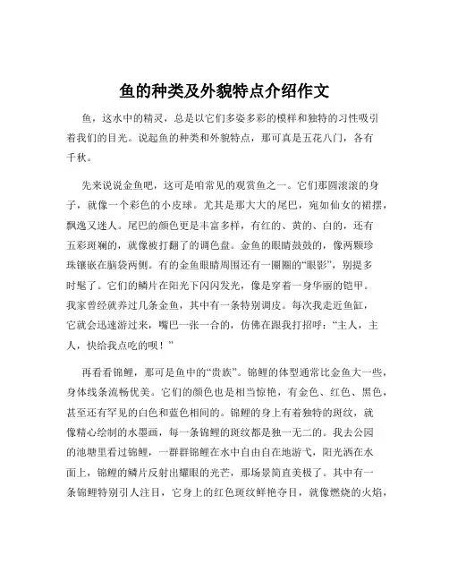 鱼的种类及外貌特点介绍作文