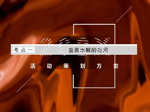 盐类水解拓展：三大守恒及离子浓度大小比较