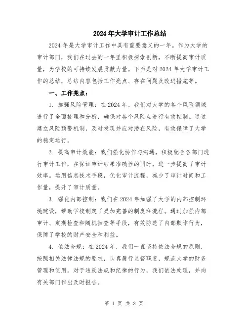 2024年大学审计工作总结