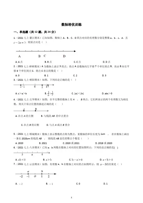 2021七年级数学上册专项训练 03 数轴培优综合训练(含解析)