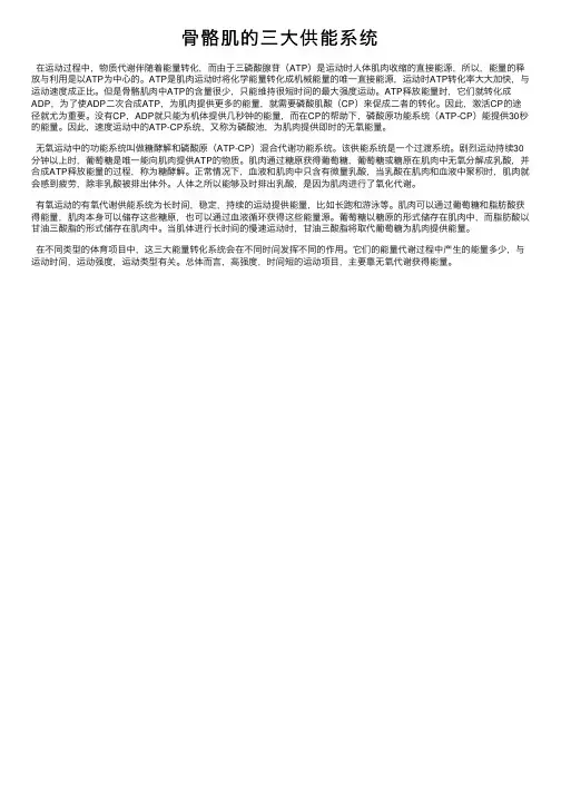 骨骼肌的三大供能系统