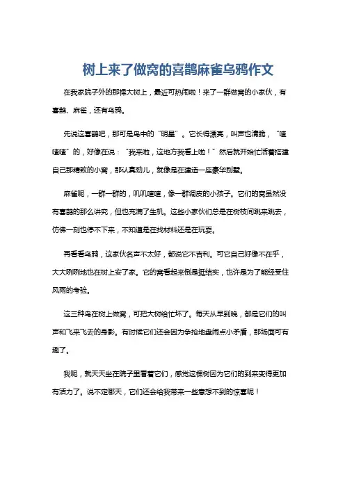 树上来了做窝的喜鹊麻雀乌鸦作文