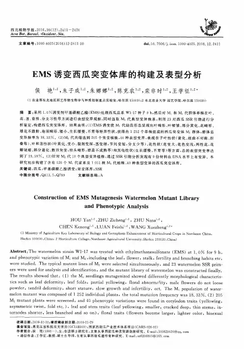EMS诱变西瓜突变体库的构建及表型分析
