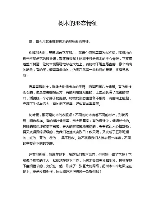树木的形态特征