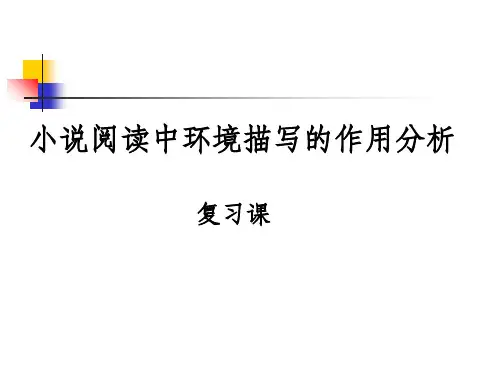 小说阅读中环境描写的作用ppt课件