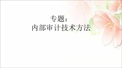 内部审计技术方法