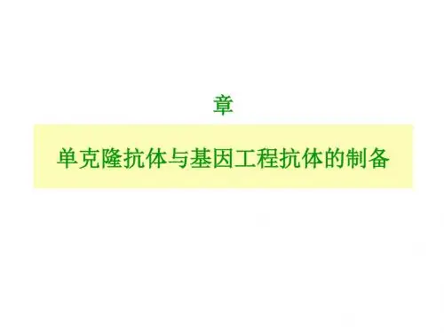 单克隆抗体的制备和应用