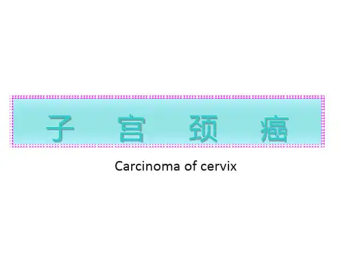 宫颈癌—医学讲解