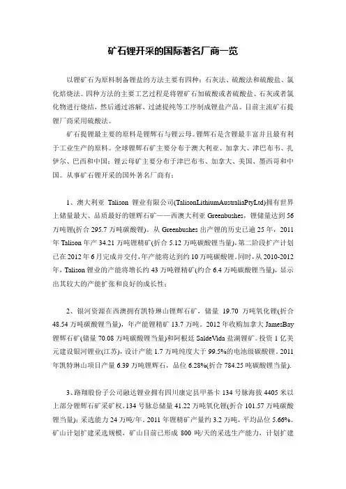矿石锂开采的国际著名厂商一览