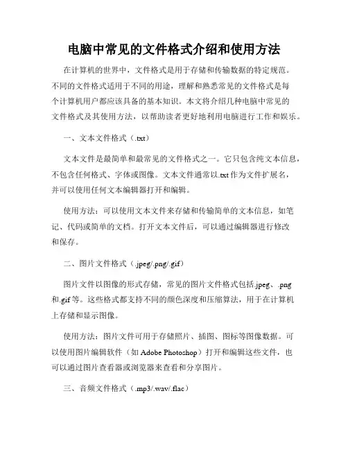 电脑中常见的文件格式介绍和使用方法