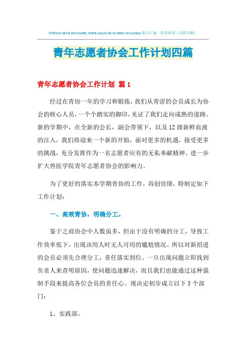 2021年青年志愿者协会工作计划四篇