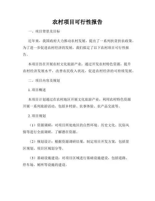 农村项目可行性报告