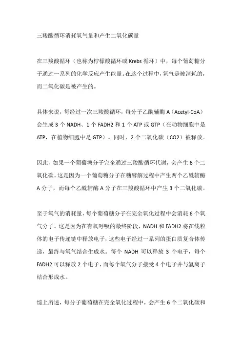 三羧酸循环消耗氧气量和产生二氧化碳量
