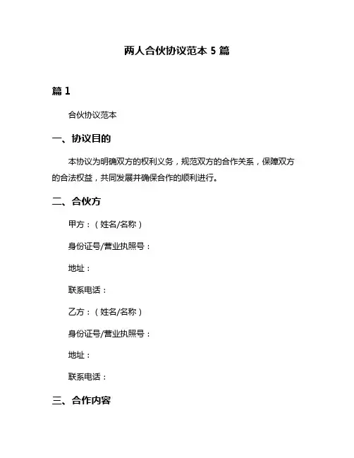 两人合伙协议范本5篇