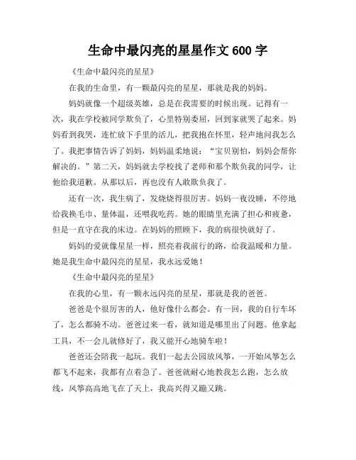 生命中最闪亮的星星作文600字